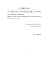 Phân tích cảm xúc sử dụng cách tiếp cận học chuyển đổi  