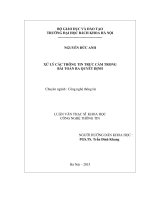 Xư lý các thông tin trực cảm trong bài toán ra quyết định  