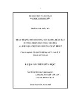 Thực trạng môi trường, sức khỏe, bệnh tật ở công nhân may Thái Nguyên và hiệu quả một số giải pháp can thiệp (LA tiến sĩ)