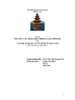Đề tài Nguyên tắc nhân đạo trong luật hình sự và vấn đề áp dụng án tử hình ở Việt Nam