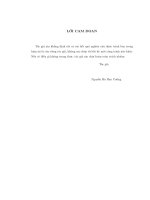 Nghiên cứu phòng chống bế tắc trong cung cấp tài nguyên phân tán cho hệ thống máy chủ ảo (LA tiến sĩ)