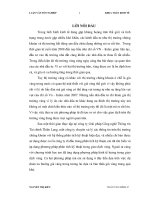 Mô hình kinh tế lượng và mô hình phân tích kỹ thuật trong giao dịch vàng ở Việt Nam