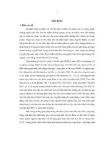 Nghiên cứu thu nhận dịch chiết chứa axid hydroxycitric từ vỏ quả tai chua (Garcinia Cowa Roxb.) để tạo muối kép hydroxycitrat ứng dụng giảm béo phì (LA tiến sĩ)