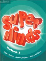 Super minds 3 work book  