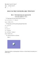 Báo cáo thực hành hóa tính toán