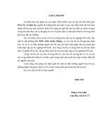 Phân tích tổng hợp tài liệu địa vật lý giếng khoan để đánh giá tầng chứa trầm tích Mioxen , Oligoxen mỏ Thỏ Trắng