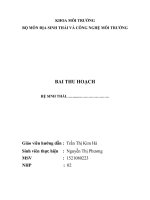 BAI THU HOẠCH  HỆ SINH THÁI tại công viên Thủ Lệ  Ba Đình – Hà Nội