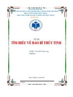 Tiểu luận công nghệ bao bì: Tìm hiểu bào bì thủy tinh  bao bì ghép nhiều lớp