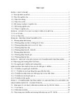 Ô NHIỄM  MÔI TRƯỜNG BIỂN VÀ ẢNH HƯỞNG CỦA NÓ ĐẾN CÁC HOẠT ĐỘNG KINH TẾ  XÃ HỘI TP.HỒ CHÍ MINH