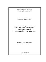 Phát triển công nghiệp chế biến cà phê trên địa bàn tỉnh Đăk Lăk (LA tiến sĩ)