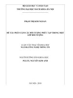 Phân cụm các đối tượng phức tạp trong một lớp đối tượng 