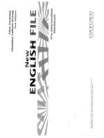 new english file pre intermediate workbook