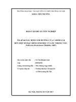 XÁC ĐỊNH ẢNH HƯỞNG CỦA CADIMI (Cd)  ĐẾN MỘT SỐ ĐẶC ĐIỂM SINH HỌC CỦA ỐC NHỘNG VOI  Pollicaria Rochebruni (Mabille, 1887)