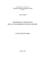 Mô hình hóa và tính toán số kết cấu tấm composite gấp nếp, lượn sóng. (LA tiến sĩ)