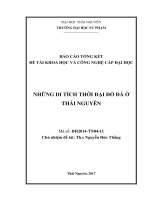 Những di tích thuộc thời đại đồ đá ở Thái Nguyên (NCKH)