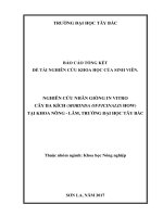 Nghiên cứu nhân giống invitro cây ba kích tại khoa nông   lâm, trường đh tây bắc 