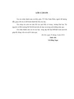 Ứng dụng phần mềm MicroStation SE và Famis để thành lập bản đồ hiện trạng sử dụng đất từ bản đồ địa chính tại xã Đông Động, huyện Đông Hưng, tỉnh Thái Bình