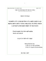 Nghiên cứu ảnh hưởng của điều kiện lao động đến chức năng thị giác của công nhân lắp ráp linh kiện điện tử bán dẫn (FULL TEXT)