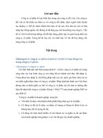 Đề tài huy động vốn trong công ty cổ phần, luận văn tốt nghiệp đại học, thạc sĩ, đồ án,tiểu luận tốt nghiệp