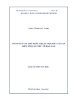 Đánh giá vai trò phẫu thuật nội soi cắt gan điều trị ung thư tế bào gan (FULL TEXT)