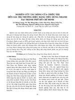 NGHIÊN cứu tác ĐỘNG của CHIÊU THỊ đến GIÁ TRỊ THƯƠNG HIỆU HÀNG TIÊU DÙNG NHANH tại THÀNH PHỐ hồ CHÍ MINH