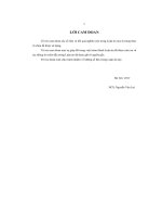 Nghiên cứu một số chất tạo hương thuộc nhóm Terpenoid thu nhận từ một số loại quả có múi ở Miền Bắc Việt Nam và ứng dụng trong công nghiệp thực phẩm. (LA tiến sĩ)