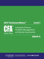 CFA 2017 Level 1 Schweser Notes Book 4