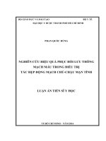 Nghiên cứu hiệu quả phục hồi lưu thông mạch máu trong điều trị tắc hẹp động mạch chủ-chậu mạn tính (FULL TEXT)