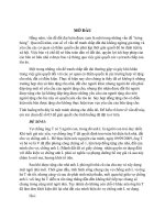 bài tập lớn môn luật đất đai