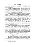 Phân tích tình hình sản xuất kinh doanh của Công ty cổ phần Socola Bỉ