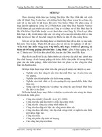 Cấu trúc địa chất vùng nam Chợ Điền, Bắc Kạn. Thiết kế phương án thăm dò bổ sung quặng chìkẽm khu  Lũng Hoài