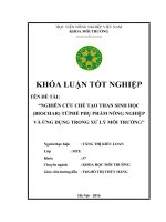 NGHIÊN CỨU CHẾ TẠO THAN SINH HỌC (BIOCHAR) TỪ PHẾ PHỤ PHẨM NÔNG NGHIỆP VÀ ỨNG DỤNG TRONG XỬ LÝ MÔI TRƯỜNG