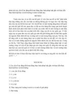 bài tập lớn xã hội học pháp luật