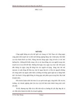 Thiết kế website cho bài toán bán hàng qua mạng dựa trên nền tảng wordpress