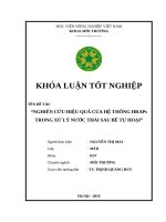 NGHIÊN CỨU HIỆU QUẢ CỦA HỆ THỐNG HRAPs TRONG XỬ LÝ NƯỚC THẢI SAU BỂ TỰ HOẠI