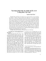 Vận dụng pháp luật của chính quyền cơ sở ở nông thôn việt nam