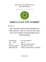 ĐIỀU TRA HIỆN TRẠNG PHÁT SINH PHẾ THẢI ĐỒNG RUỘNG VÀ ĐỀ XUẤT MỘT SỐ GIẢI PHÁP XỬLÝ TẠI XÃ MINH TÂN,HUYỆN ĐÔNG HƯNG, TỈNH THÁI BÌNH