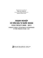 Ebook doanh nghiệp có vốn đầu tư nước ngoài giai đoạn 2006 2011 (foreign direct investment enterprises in the period of 2006 2011)phần 1