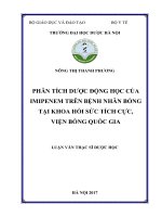 PHÂN TÍCH DƯỢC ĐỘNG HỌC CỦA IMIPENEM TRÊN BỆNH NHÂN BỎNG TẠI KHOA HỒI SỨC TÍCH CỰC, VIỆN BỎNG QUỐC GIA