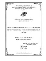 Phân tích các phương pháp lựa chọn phân tử thử nghiệm tại công ty tnhh kiểm toán mỹ aa 