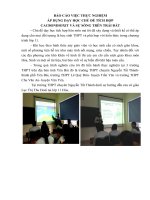 BÁO CÁO VIỆC THỰC NGHIỆM  ÁP DỤNG DẠY HỌC CHỦ ĐỀ TÍCH HỢP  CACBONDIOXIT VÀ SỰ SỐNG TRÊN TRÁI ĐẤT