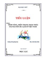 TIỂU LUẬN TIỀM NĂNG, HIỆN TRẠNG KHAI THÁC TÀI NGUYÊN DU LỊCH Ở VIỆT NAM