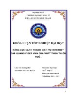 NĂNG lực CẠNH TRANH DỊCH vụ INTERNET cáp QUANG FIBER VNN của VNPT THỪA THIÊN HUẾ