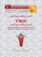 Chú giải thuật ngữ y học anh việt thông dụng 