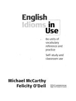 english idioms in use real 