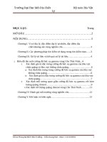 Tóm tắt đồ án phóng xạ: Khoanh vùng thân quặng, xác định trữ lượng ilmenit và đánh giá môi trường khu vực Cồn Thái Ninh xã Đông Long huyện Tiền Hải tỉnh Thái Bình