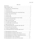 Tiểu luận phương pháp thu thập dữ liệu nghiên cứu thị trường