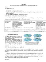 GIAO AN SINH HOC12 THEO CHU DE  CHUDE 7  SU PHAT SINH PHAT TRIEN SU SONG