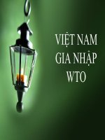 slide thuyet trinh kinh te vi mo 