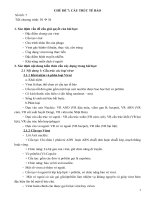 GIAO AN SINH HOC 10 THEO CHU DE-CHU DE 7-VIRUT VA BENH TRUYEN NHIEM